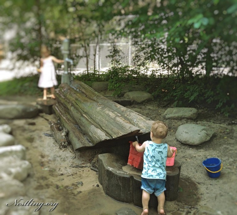 Grünes New York Wunderschöne, kostenlose FamilienAusflugsziele Nestling