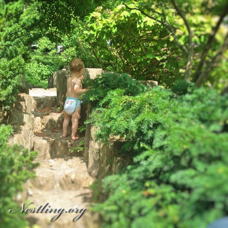 Grünes New York: Wunderschöne, kostenlose Familien-Ausflugsziele - Nestling