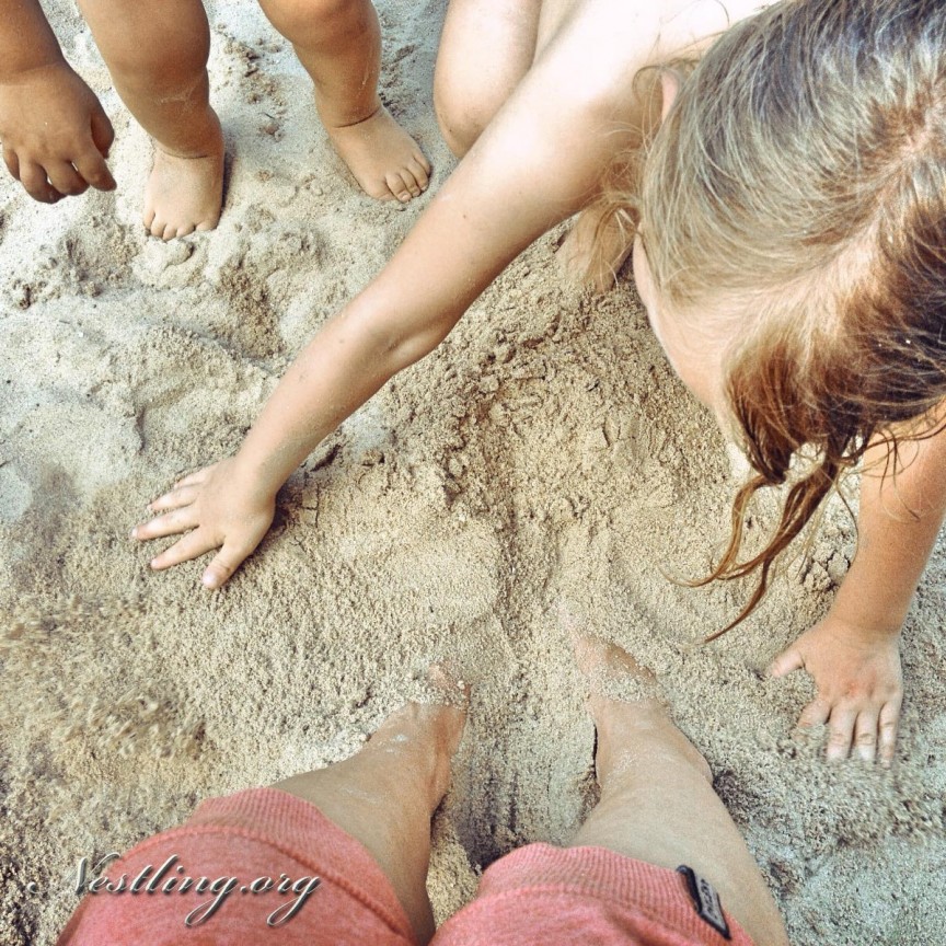 Grünes New York: Wunderschöne, kostenlose Familien-Ausflugsziele - Nestling
